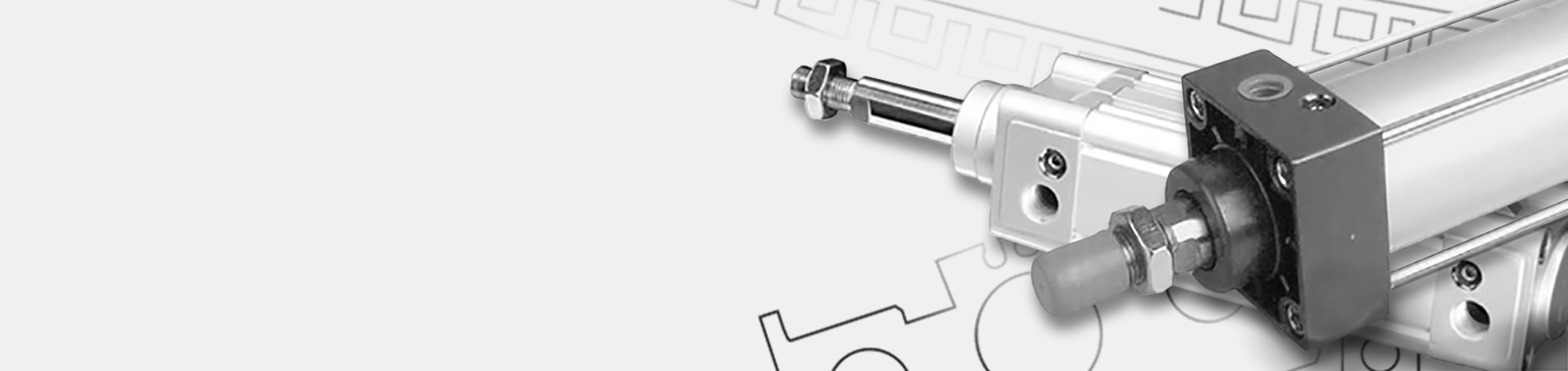 Our long years of experience and expertise distinguish us as a competent partner for you.